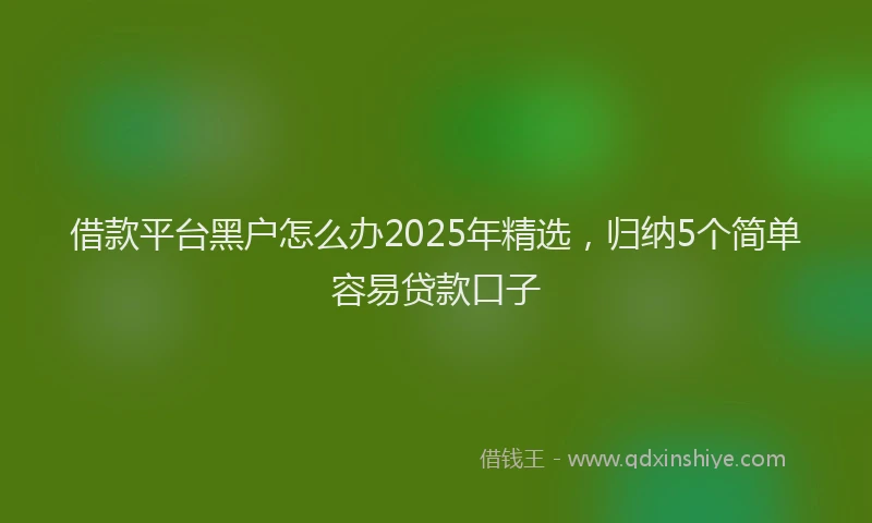 借款平台黑户怎么办2025年精选，归纳5个简单容易贷款口子