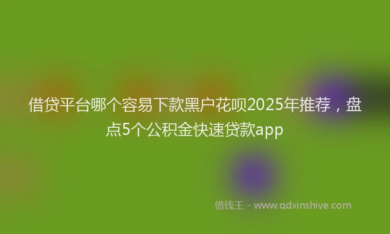 借贷平台哪个容易下款黑户花呗2025年推荐，盘点5个公积金快速贷款app