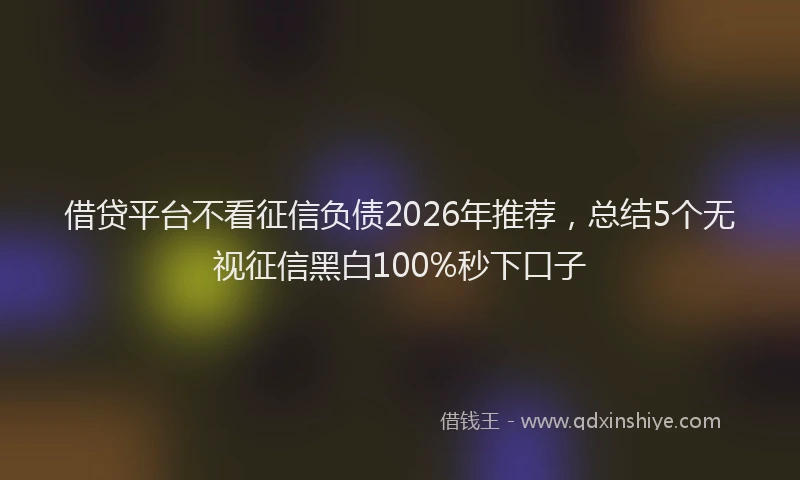 借贷平台不看征信负债2026年推荐，总结5个无视征信黑白100%秒下口子
