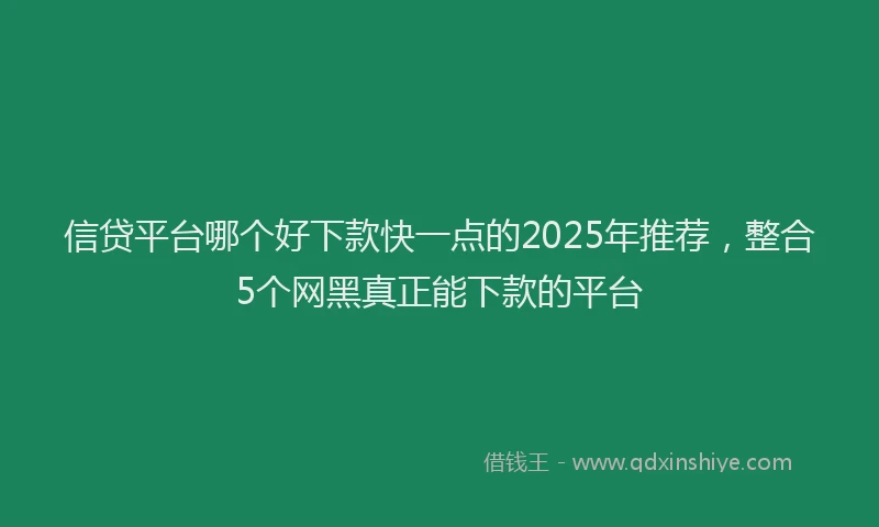 信贷平台哪个好下款快一点的2025年推荐，整合5个网黑真正能下款的平台