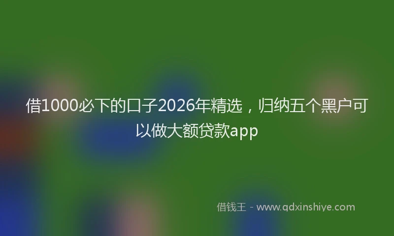 借1000必下的口子2026年精选，归纳五个黑户可以做大额贷款app