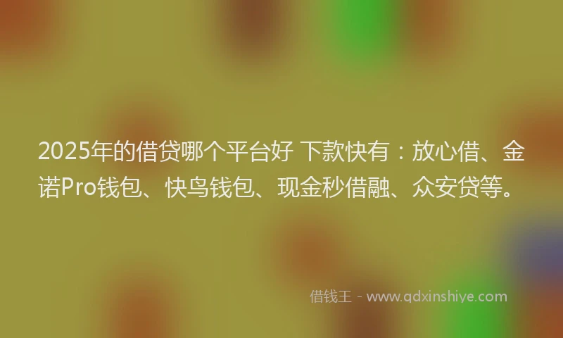 2025年的借贷哪个平台好 下款快有:放心借、金诺Pro钱包、快鸟钱包、现金秒借融、众安贷等。