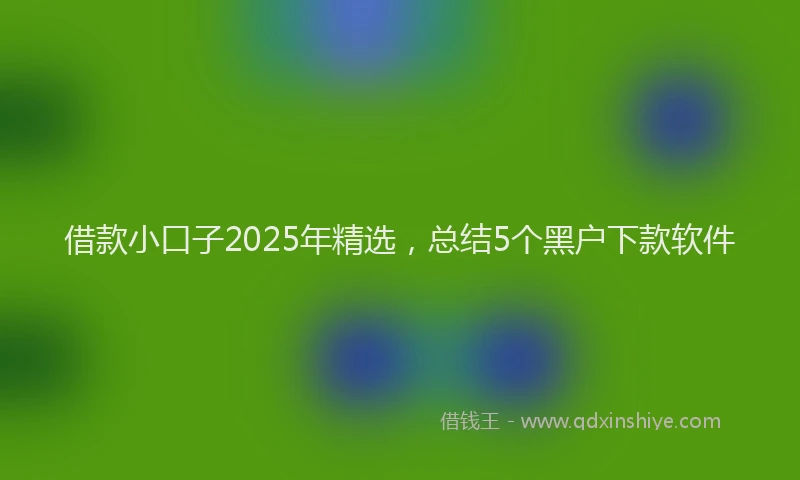 借款小口子2025年精选，总结5个黑户下款软件