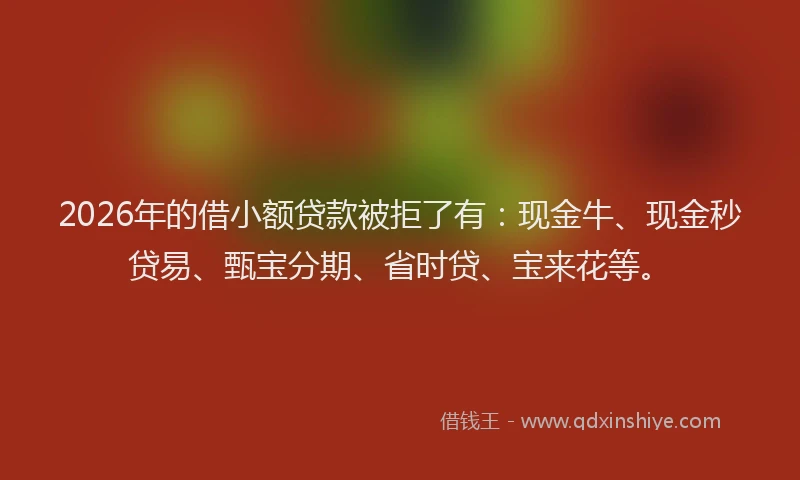 2026年的借小额贷款被拒了有：现金牛、现金秒贷易、甄宝分期、省时贷、宝来花等。