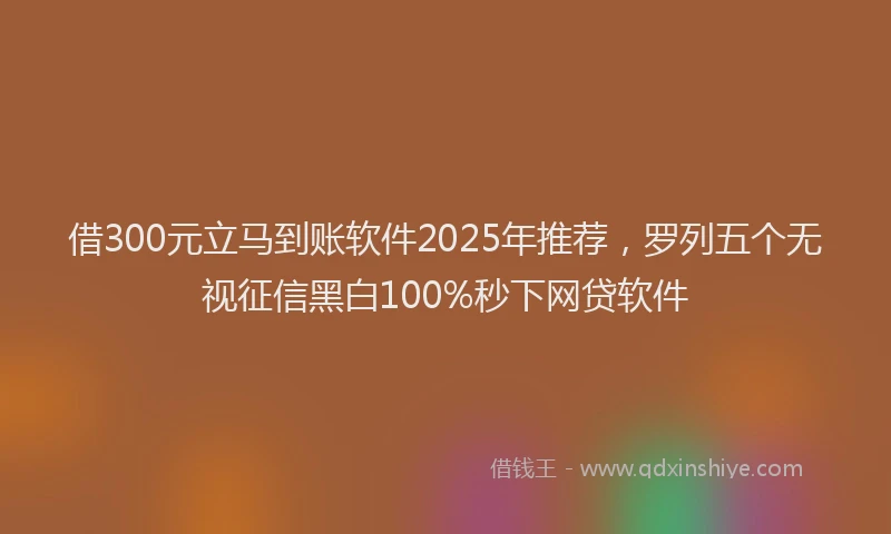 借300元立马到账软件2025年推荐，罗列五个无视征信黑白100%秒下网贷软件