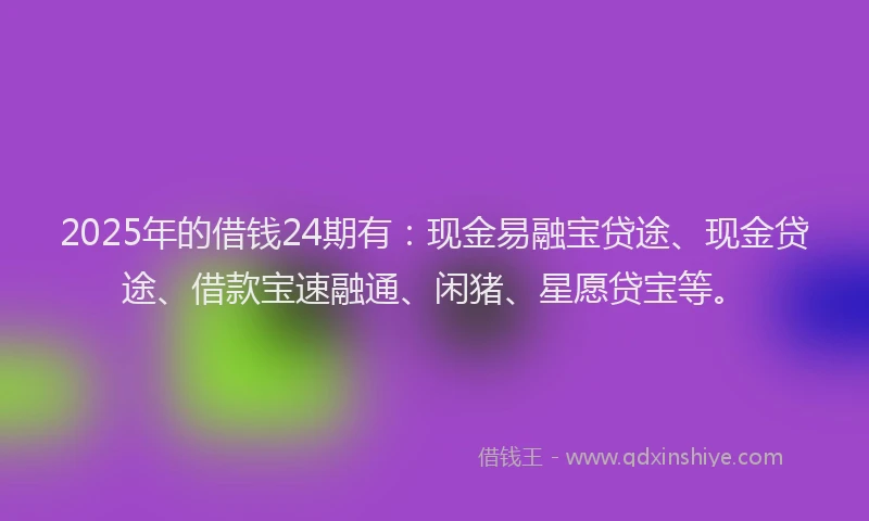 2025年的借钱24期有：现金易融宝贷途、现金贷途、借款宝速融通、闲猪、星愿贷宝等。