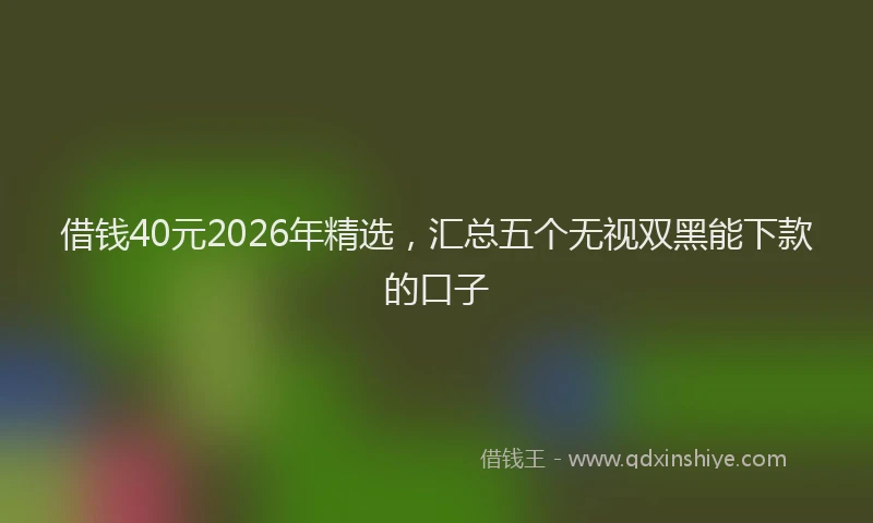 借钱40元2026年精选，汇总五个无视双黑能下款的口子
