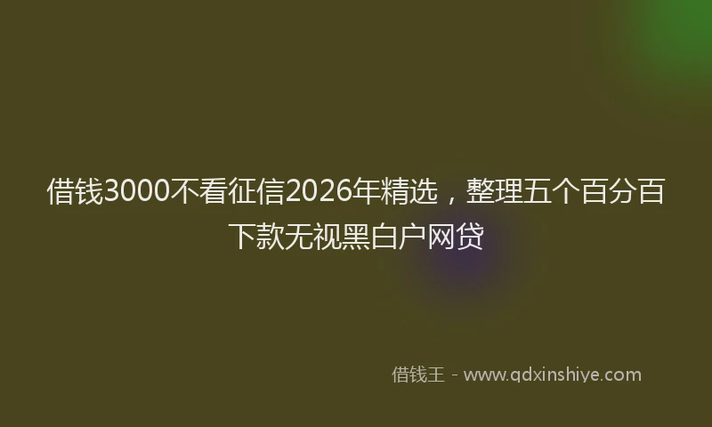 借钱3000不看征信2026年精选，整理五个百分百下款无视黑白户网贷