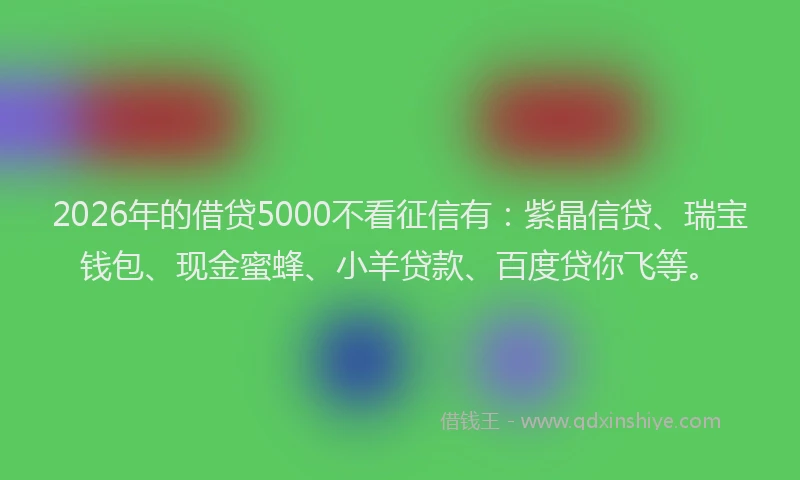 2026年的借贷5000不看征信有：紫晶信贷、瑞宝钱包、现金蜜蜂、小羊贷款、百度贷你飞等。