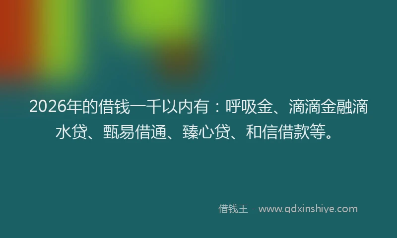2026年的借钱一千以内有：呼吸金、滴滴金融滴水贷、甄易借通、臻心贷、和信借款等。