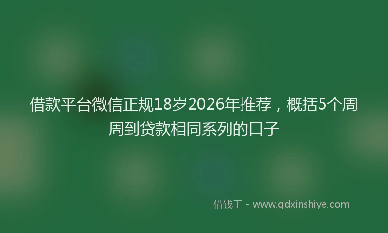 借款平台微信正规18岁2026年推荐，概括5个周周到贷款相同系列的口子