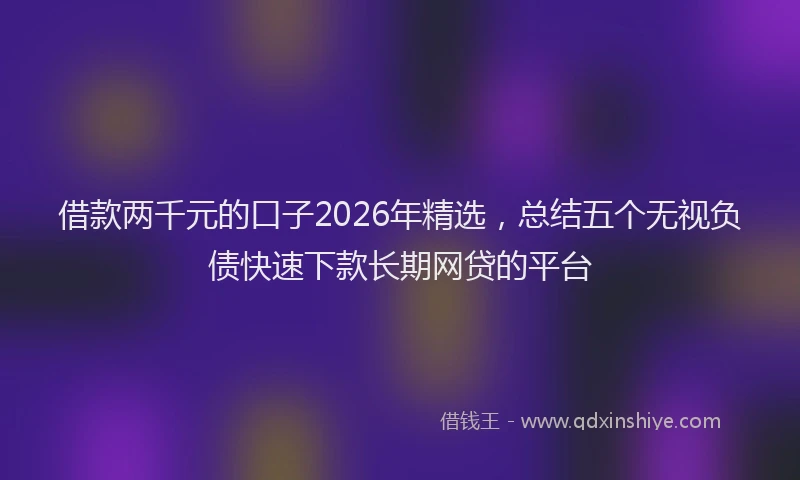 借款两千元的口子2026年精选，总结五个无视负债快速下款长期网贷的平台