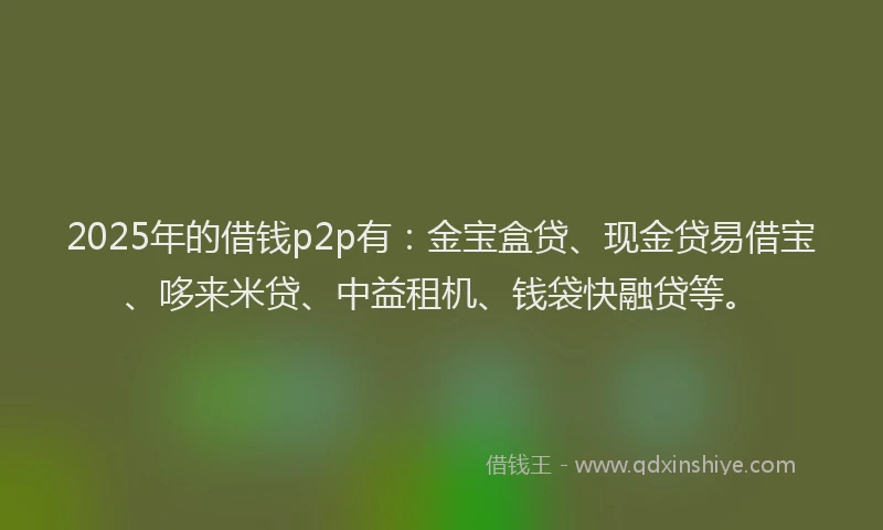 2025年的借钱p2p有：金宝盒贷、现金贷易借宝、哆来米贷、中益租机、钱袋快融贷等。