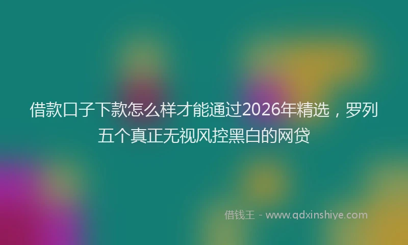 借款口子下款怎么样才能通过2026年精选,罗列五个真正无视风控黑白的网贷