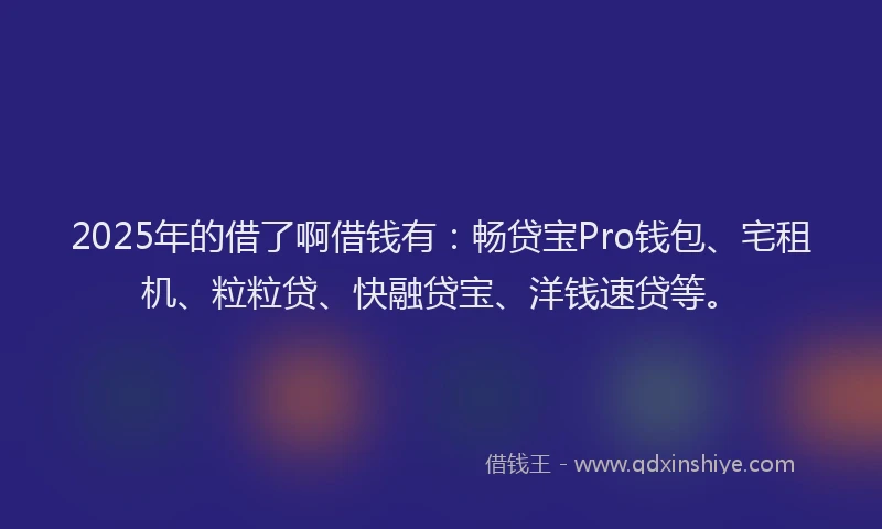 2025年的借了啊借钱有：畅贷宝Pro钱包、宅租机、粒粒贷、快融贷宝、洋钱速贷等。