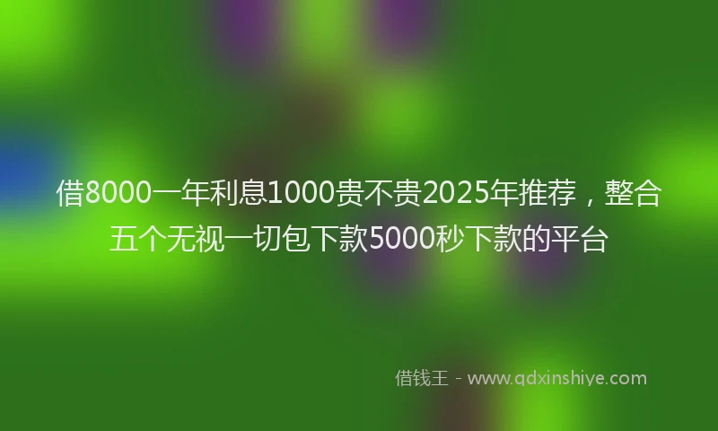 借8000一年利息1000贵不贵2025年推荐，整合五个无视一切包下款5000秒下款的平台