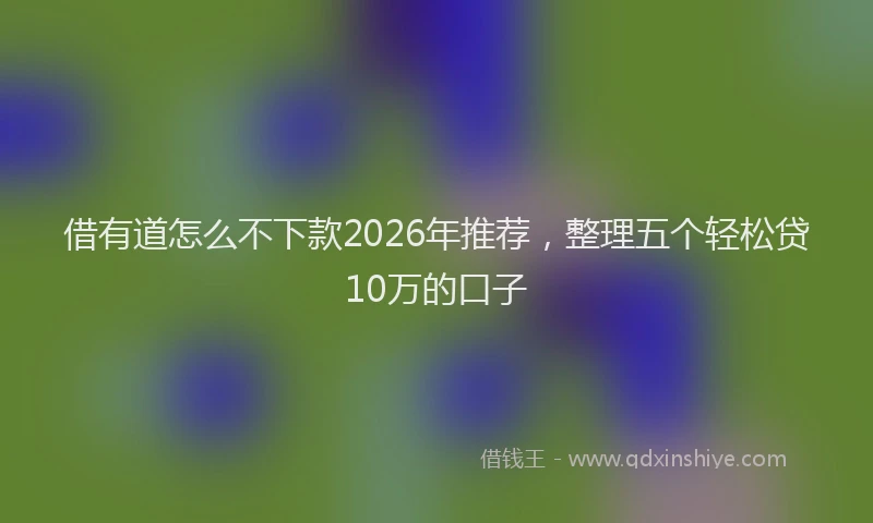 借有道怎么不下款2026年推荐，整理五个轻松贷10万的口子