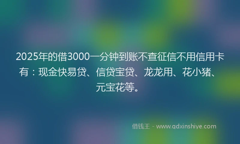 2025年的借3000一分钟到账不查征信不用信用卡有:现金快易贷、信贷宝贷、龙龙用、花小猪、元宝花等。