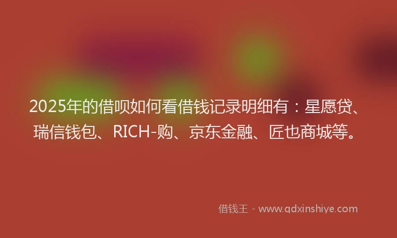 2025年的借呗如何看借钱记录明细有：星愿贷、瑞信钱包、RICH-购、京东金融、匠也商城等。