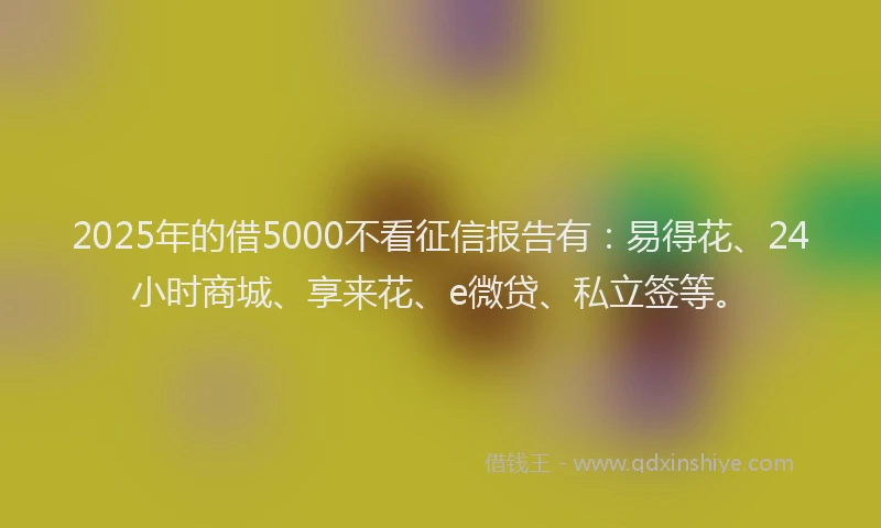 2025年的借5000不看征信报告有:易得花、24小时商城、享来花、e微贷、私立签等。