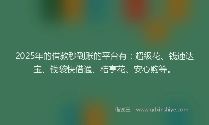 2025年的借款秒到账的平台有：超级花、钱速达宝、钱袋快借通、桔享花、安心购等。