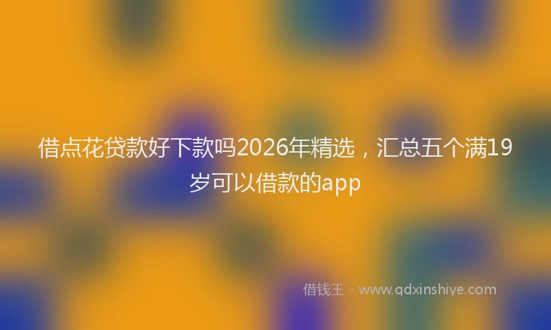 借点花贷款好下款吗2026年精选，汇总五个满19岁可以借款的app