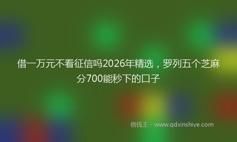 借一万元不看征信吗2026年精选,罗列五个芝麻分700能秒下的口子