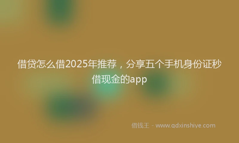借贷怎么借2025年推荐,分享五个手机身份证秒借现金的app