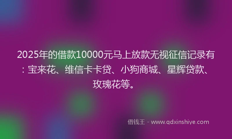 2025年的借款10000元马上放款无视征信记录有：宝来花、维信卡卡贷、小狗商城、星辉贷款、玫瑰花等。
