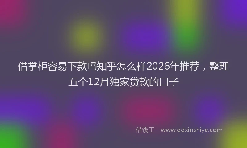 借掌柜容易下款吗知乎怎么样2026年推荐，整理五个12月独家贷款的口子