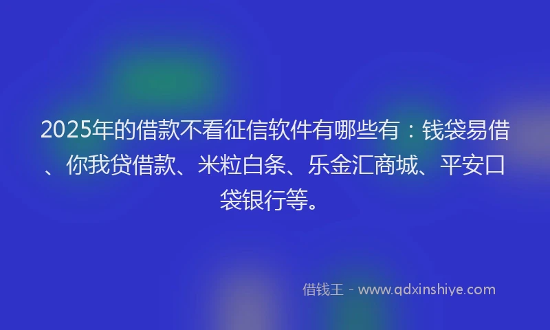 2025年的借款不看征信软件有哪些有：钱袋易借、你我贷借款、米粒白条、乐金汇商城、平安口袋银行等。