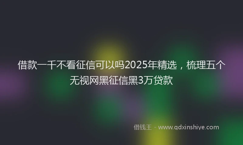 借款一千不看征信可以吗2025年精选，梳理五个无视网黑征信黑3万贷款