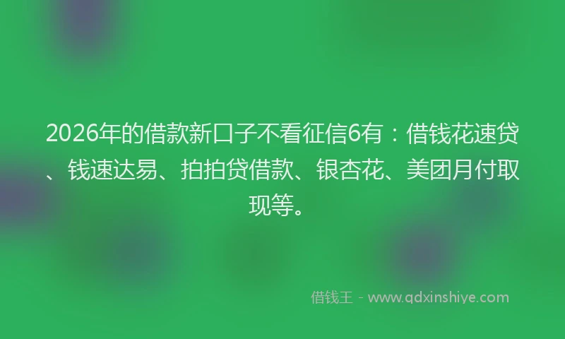 2026年的借款新口子不看征信6有：借钱花速贷、钱速达易、拍拍贷借款、银杏花、美团月付取现等。