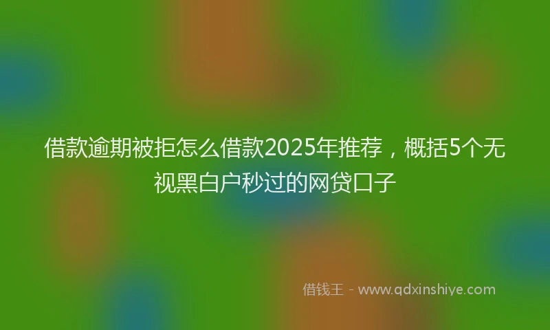借款逾期被拒怎么借款2025年推荐，概括5个无视黑白户秒过的网贷口子
