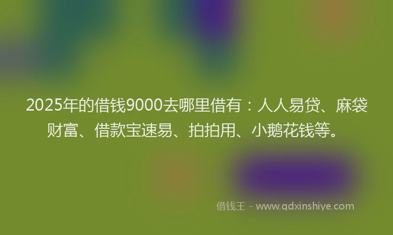 2025年的借钱9000去哪里借有：人人易贷、麻袋财富、借款宝速易、拍拍用、小鹅花钱等。