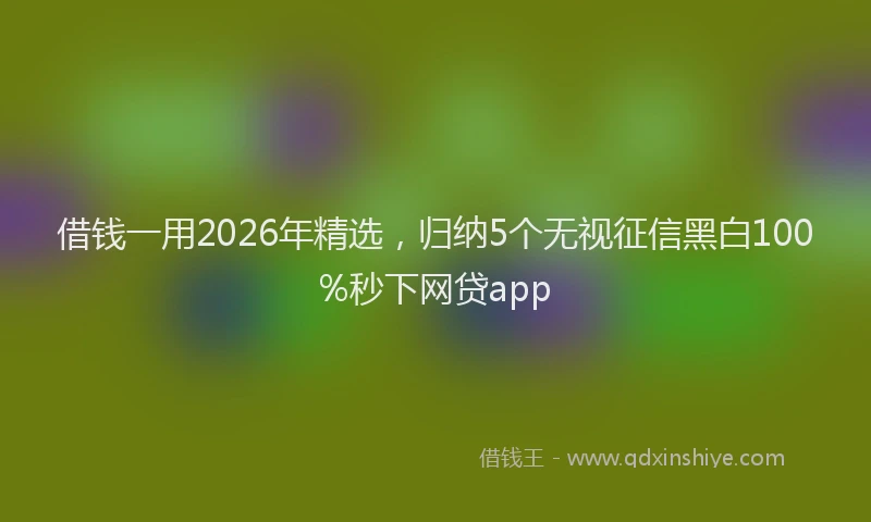 借钱一用2026年精选,归纳5个无视征信黑白100%秒下网贷app