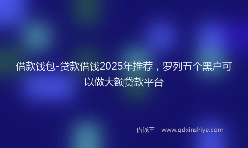 借款钱包-贷款借钱2025年推荐，罗列五个黑户可以做大额贷款平台