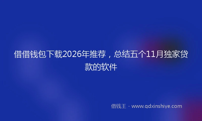 借借钱包下载2026年推荐，总结五个11月独家贷款的软件
