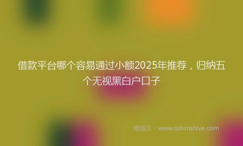 借款平台哪个容易通过小额2025年推荐，归纳五个无视黑白户口子