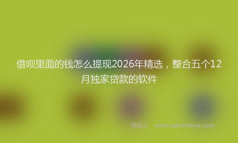 借呗里面的钱怎么提现2026年精选,整合五个12月独家贷款的软件