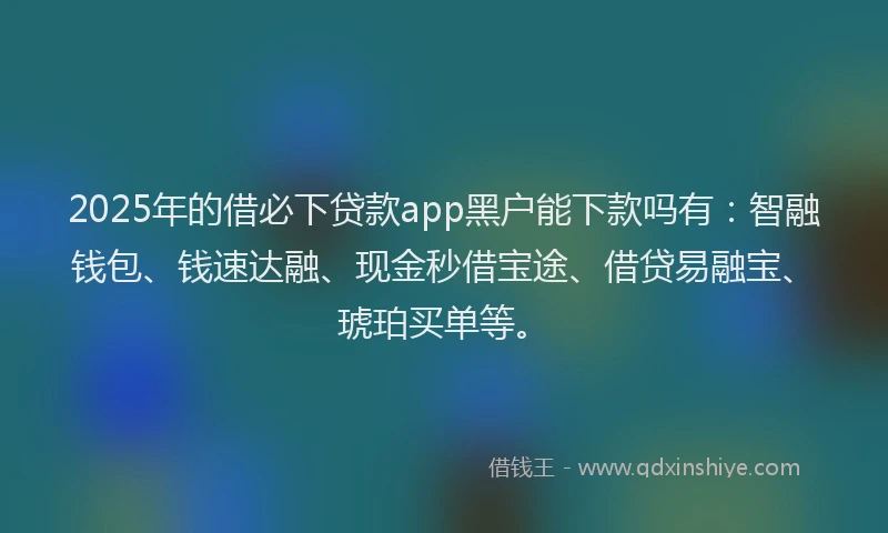 2025年的借必下贷款app黑户能下款吗有：智融钱包、钱速达融、现金秒借宝途、借贷易融宝、琥珀买单等。