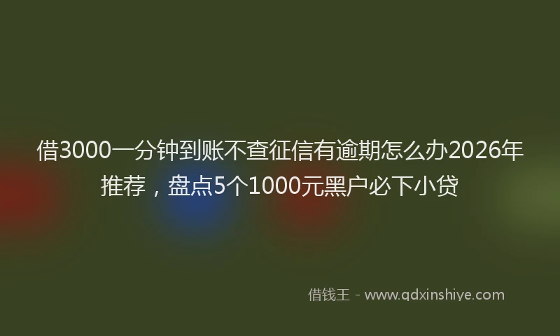 借3000一分钟到账不查征信有逾期怎么办2026年推荐，盘点5个1000元黑户必下小贷