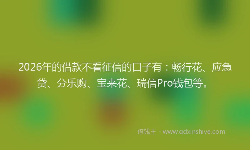 2026年的借款不看征信的口子有：畅行花、应急贷、分乐购、宝来花、瑞信Pro钱包等。