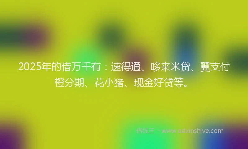 2025年的借万千有:速得通、哆来米贷、翼支付橙分期、花小猪、现金好贷等。
