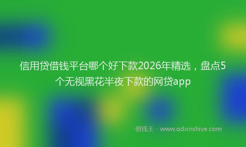 信用贷借钱平台哪个好下款2026年精选，盘点5个无视黑花半夜下款的网贷app