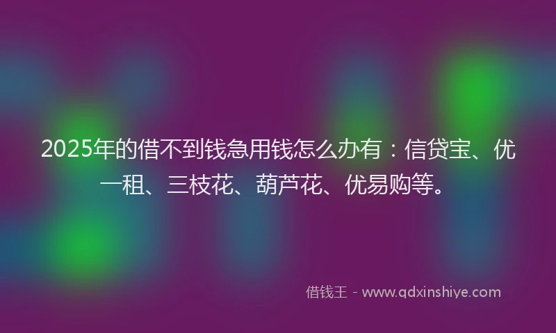2025年的借不到钱急用钱怎么办有:信贷宝、优一租、三枝花、葫芦花、优易购等。