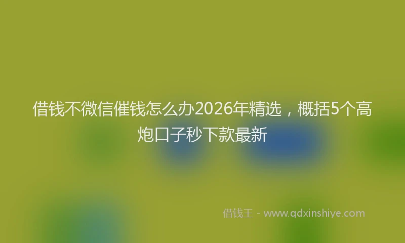 借钱不微信催钱怎么办2026年精选，概括5个高炮口子秒下款最新