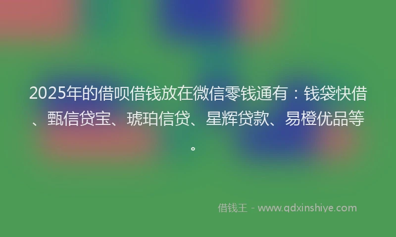 2025年的借呗借钱放在微信零钱通有:钱袋快借、甄信贷宝、琥珀信贷、星辉贷款、易橙优品等。