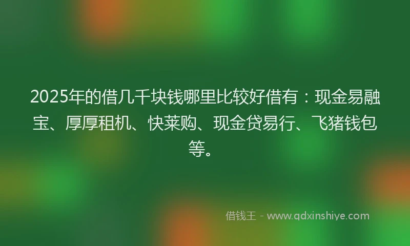 2025年的借几千块钱哪里比较好借有：现金易融宝、厚厚租机、快莱购、现金贷易行、飞猪钱包等。