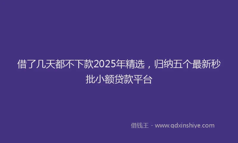 借了几天都不下款2025年精选，归纳五个最新秒批小额贷款平台